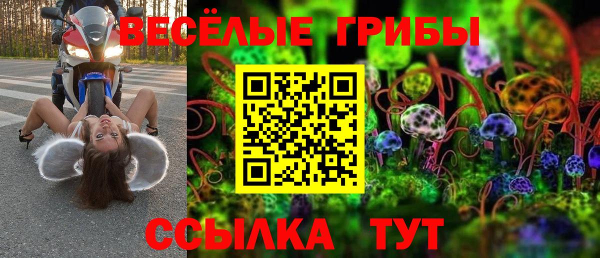 Галлюциногенные грибы MAGIC MUSHROOMS  Вход с VPN  Ейск  Псилоцибиновые грибы мицелий 